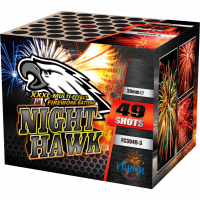 Салют Night hawk FC3049-3 - главное фото